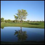 Retirement and Golf-Leopard Creek
