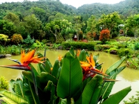 Retirement in Chiang Mai, Thailand