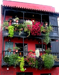 Retire in La Palma, Canary Islands