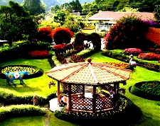 Retire in Panama, Boquete gardens