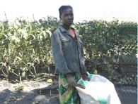 volunteering in Zambia when retired, Taking the produce to the market 