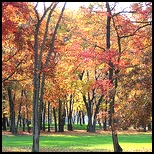 Retirement and Golf-Pine Valley