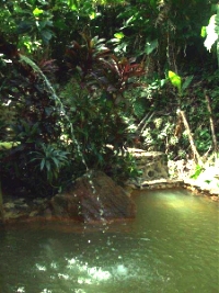 Retire in Dominica, West Indies