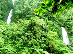 Retire in Dominica, West Indies