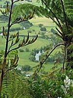 Retire in New Zealand