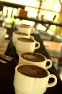 Retire in Medellin Colombia