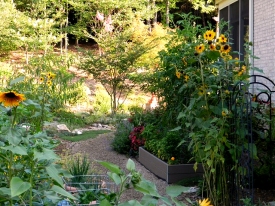 Retirement hobbies, gardening