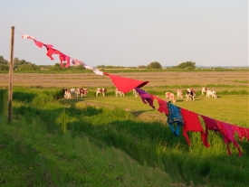 Retirement in the sun