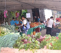 Retire in Costa Rica