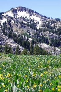 Retirement and hiking and trekking