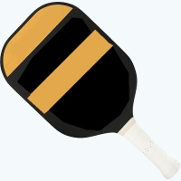 Retirement sport pickleball