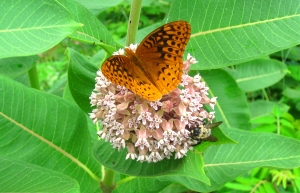 Retirement and cycling