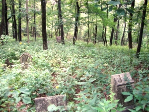 Retirement hobbies: Genealogy