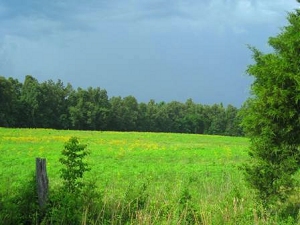 Retirement and bicycling