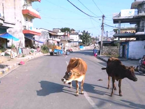 Travel to or retire in Nepal