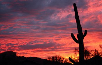 Retire in Tucson, Arizona