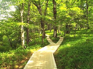 Retire in, travel to Japan