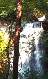 Retire in, travel to Japan