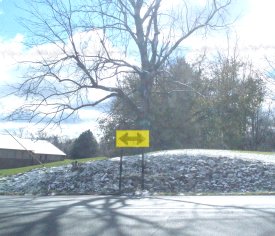 Choosing a retirement path