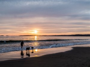 Retire in La Manzanilla, Mexico