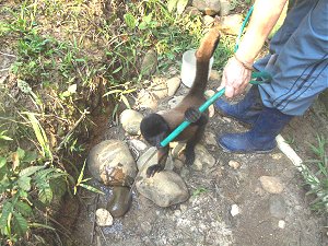 Retirement and volunteering in the Ecuadorean Amazon