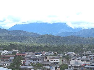 Retirement and volunteering in the Ecuadorean Amazon