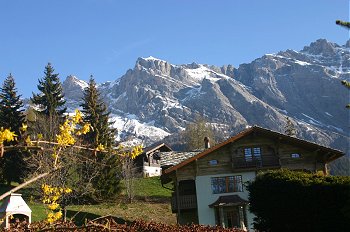 Vacation in Switzerland