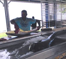 Retire in Guadeloupe