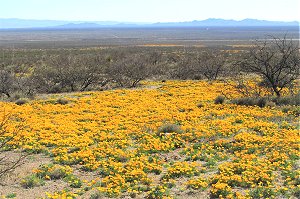 RVing during retirement