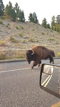 Travel to Canada during retirement